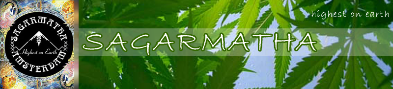 marijuana-leaves.png