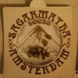 Free Seeds